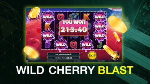 WILD CHERRY BLAST ค่ายไหน